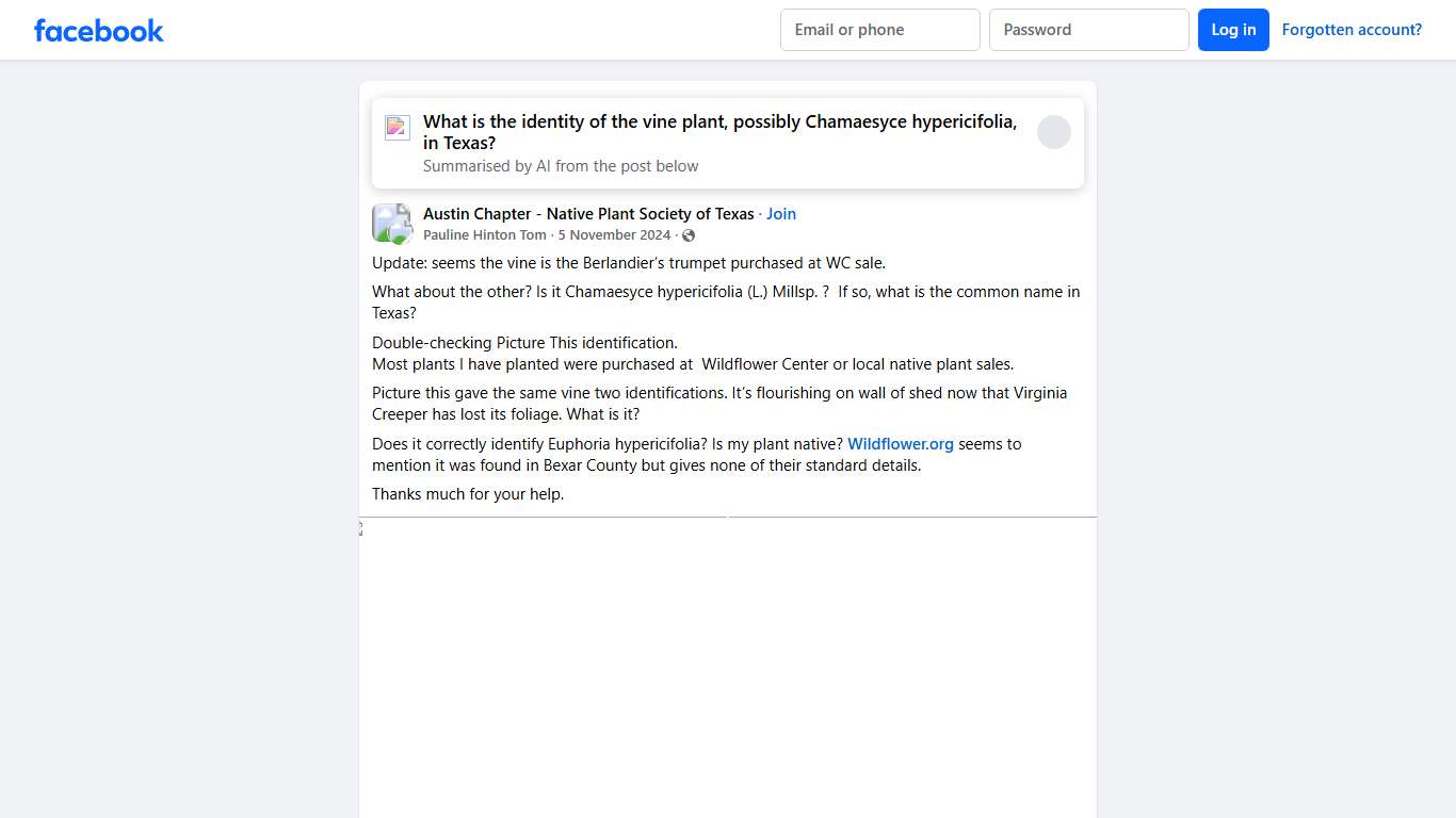 Austin Chapter - Native Plant Society of Texas Update: seems the vine is the Berlandier’s trumpet purchased at WC sale Facebook